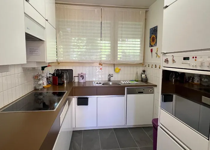 Locarno Navengana 5 شقة Minusio