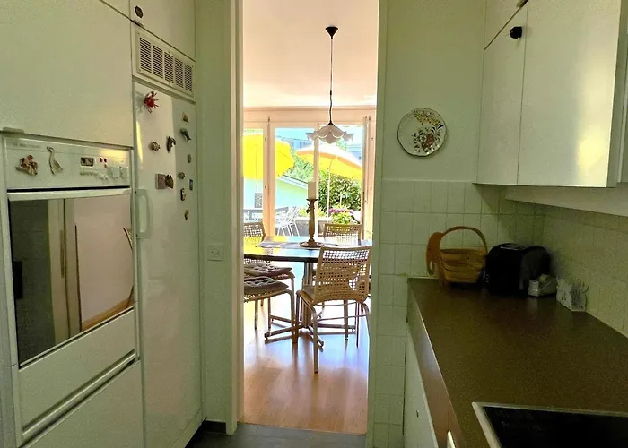 Locarno Navengana 5 아파트 Minusio